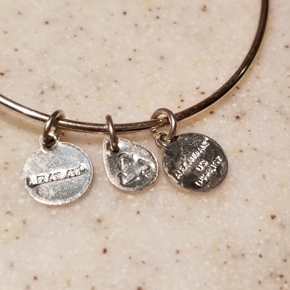 Alex and Ani, Larkspur Limited Edition Bangle - Picture 6 of 6